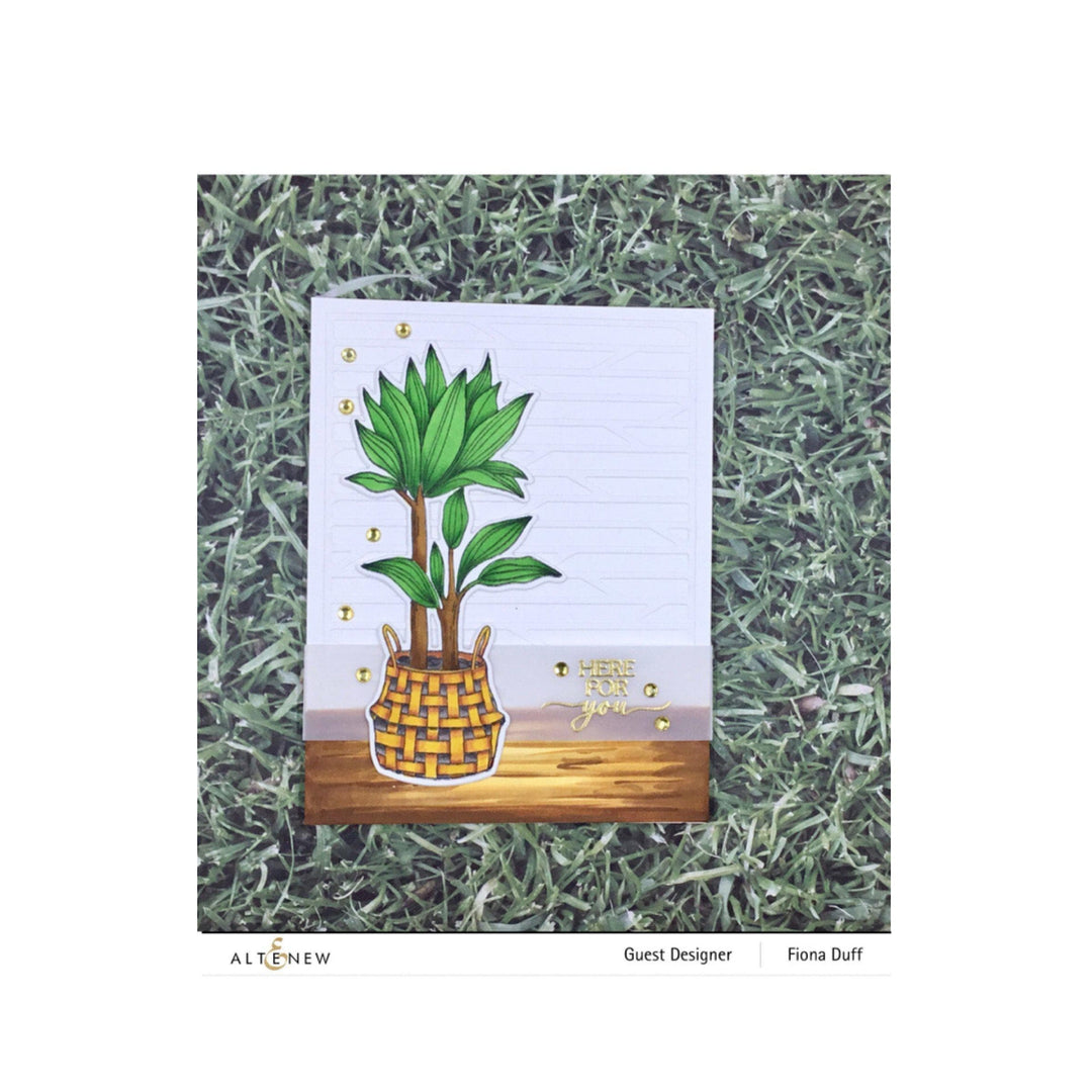 Photocentric Clear Stamps Pots and Plants Stamp Set