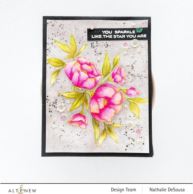 Photocentric Clear Stamps Shine Like a Diamond Stamp Set