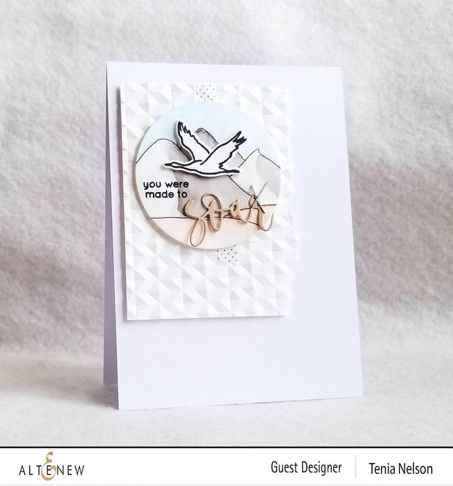 Photocentric Clear Stamps Soar Stamp Set
