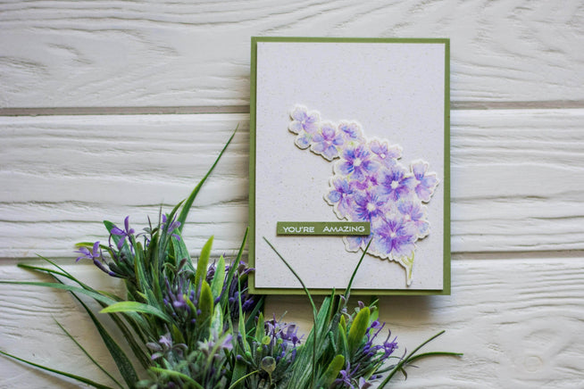 Photocentric Clear Stamps Starry Flowers Stamp Set