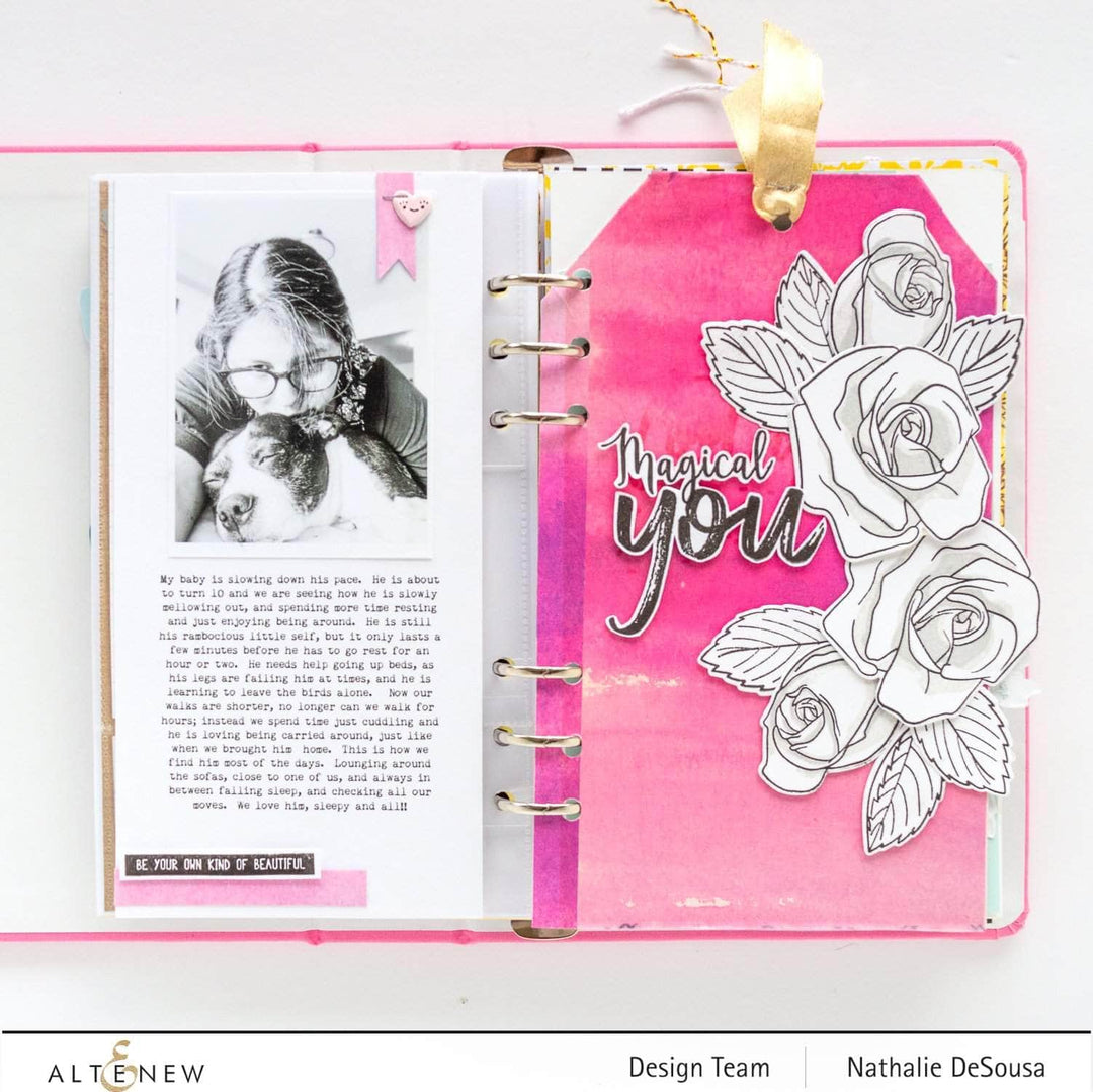 Photocentric Clear Stamps Striped Circle Stamp Set