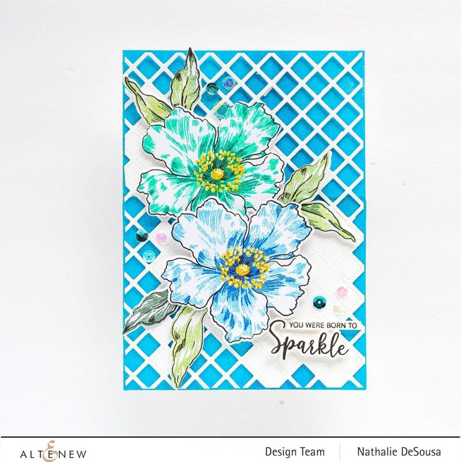 Photocentric Clear Stamps Striped Circle Stamp Set