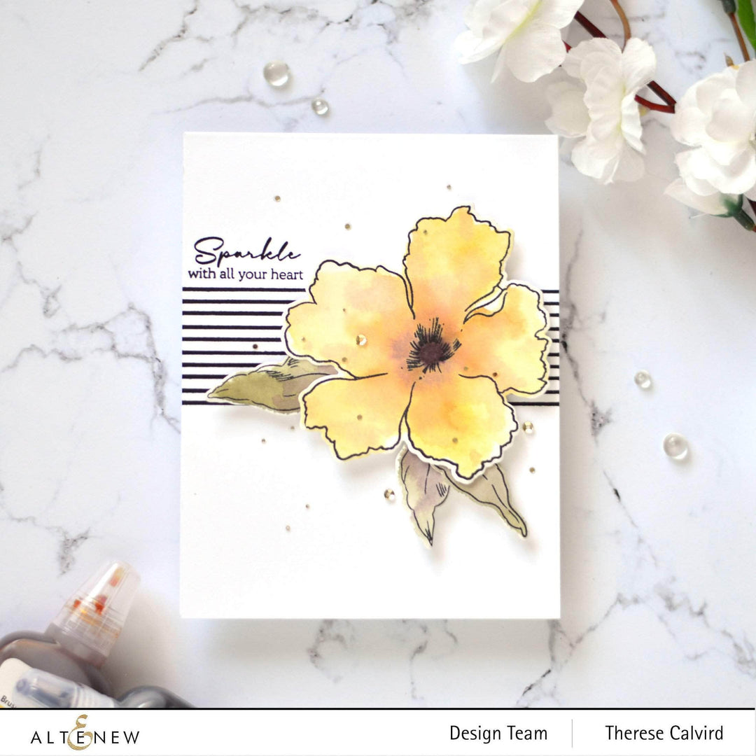 Photocentric Clear Stamps Striped Circle Stamp Set