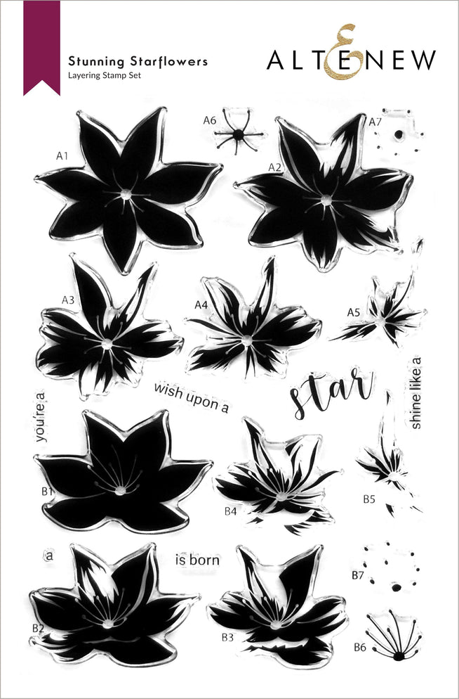 Photocentric Clear Stamps Stunning Starflowers Stamp Set