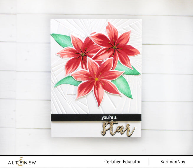 Photocentric Clear Stamps Stunning Starflowers Stamp Set