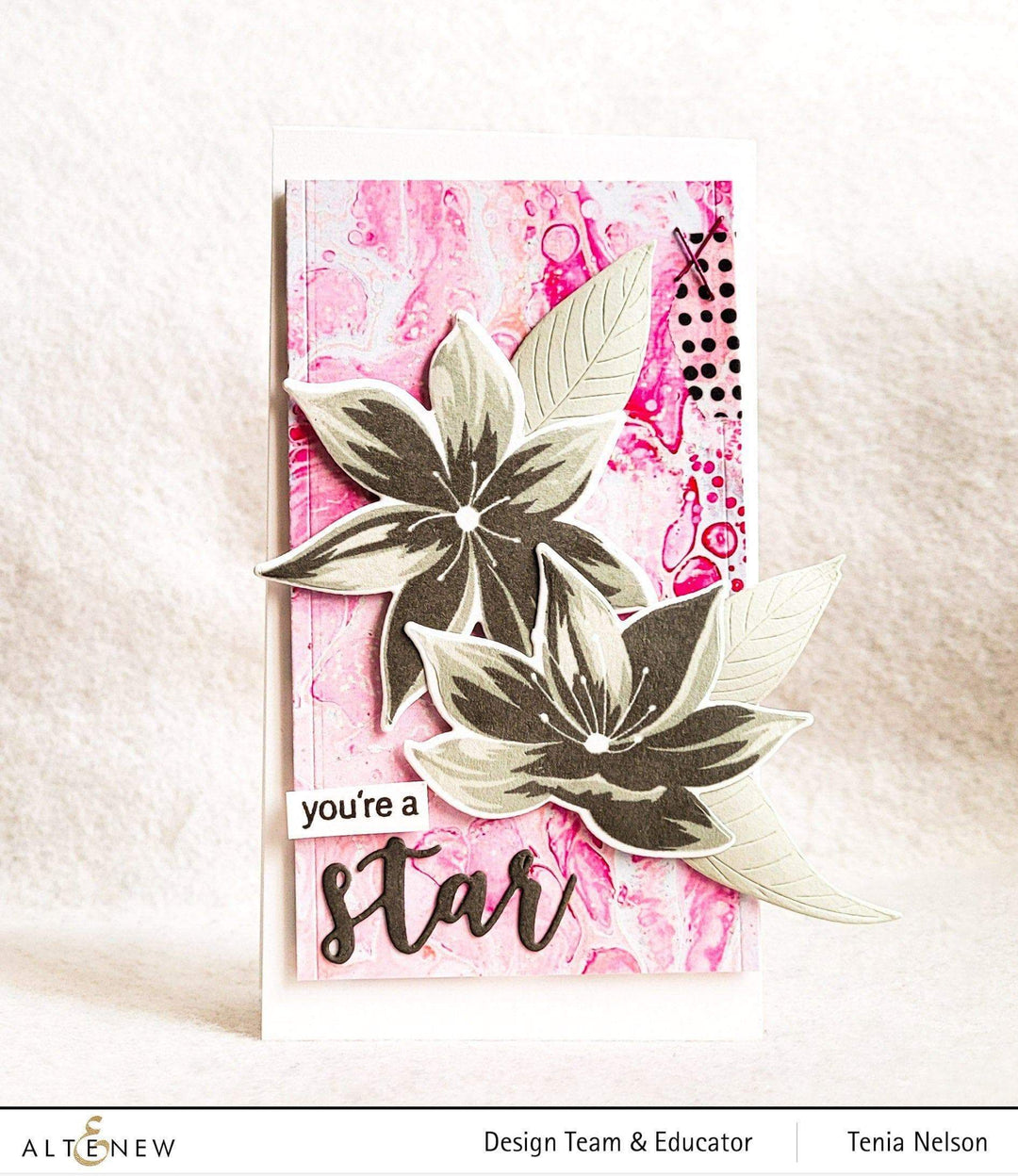 Photocentric Clear Stamps Stunning Starflowers Stamp Set