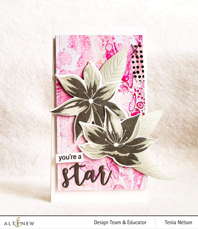 Photocentric Clear Stamps Stunning Starflowers Stamp Set