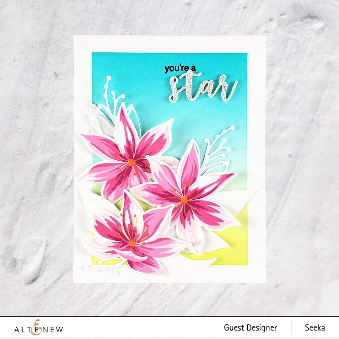 Photocentric Clear Stamps Stunning Starflowers Stamp Set