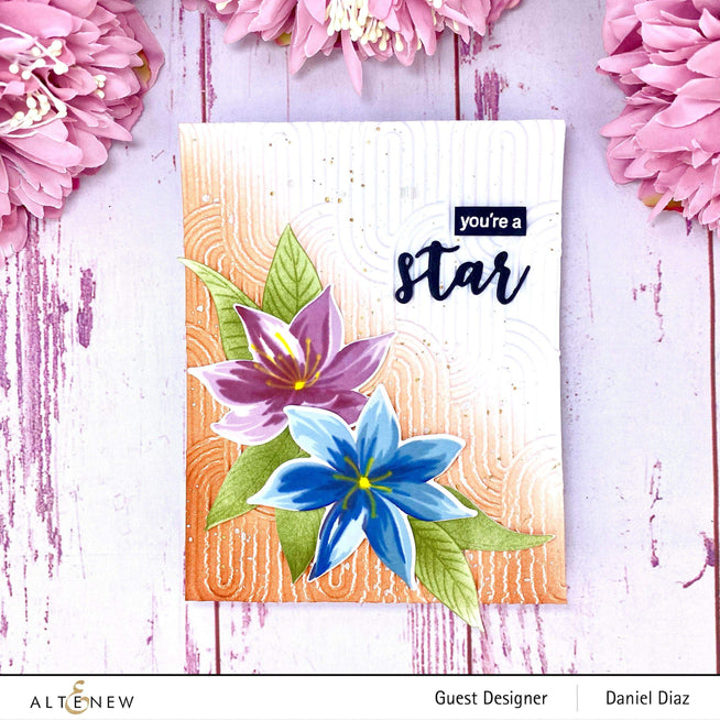 Photocentric Clear Stamps Stunning Starflowers Stamp Set
