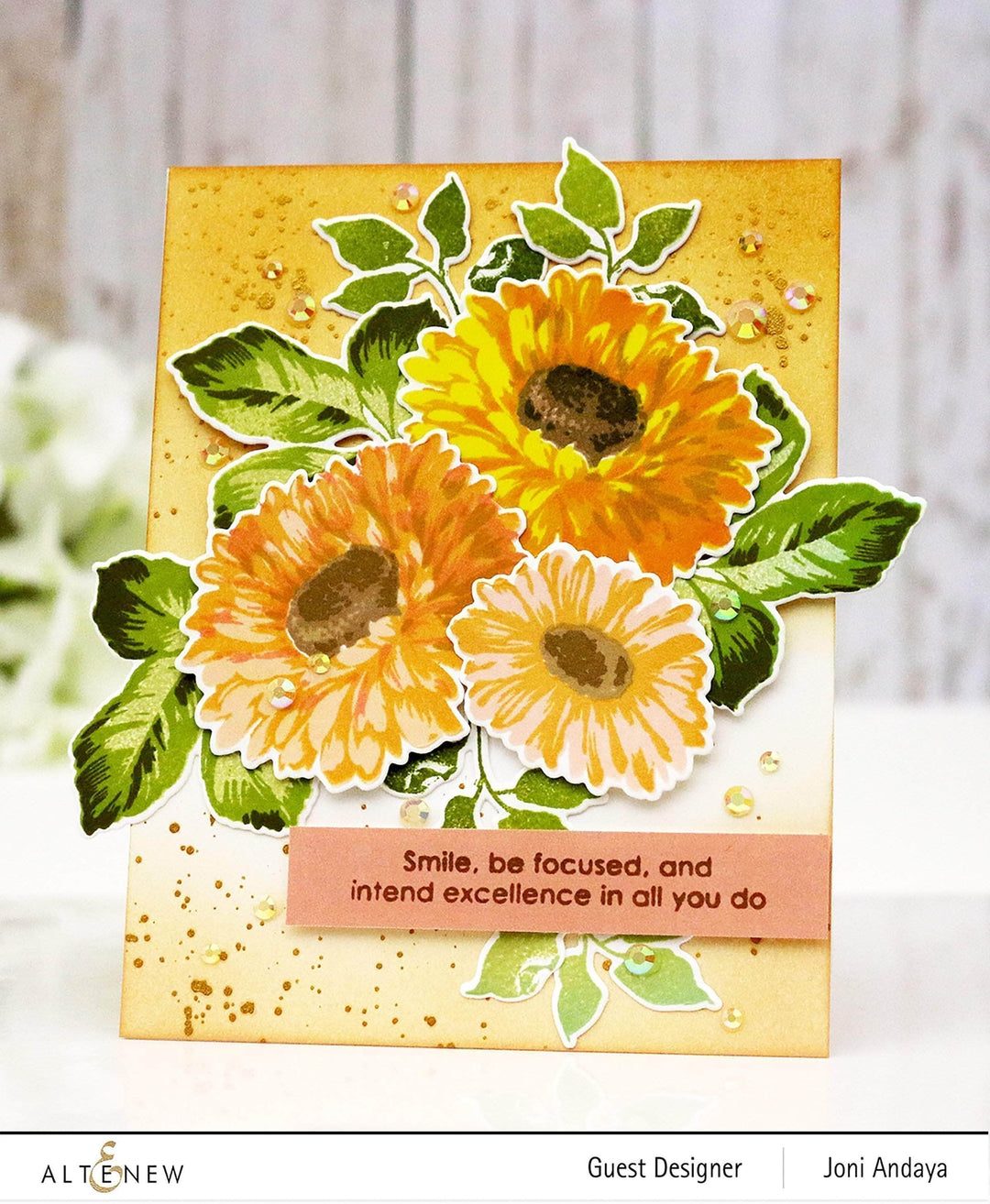 Photocentric Clear Stamps Sunflower Daisy Stamp Set