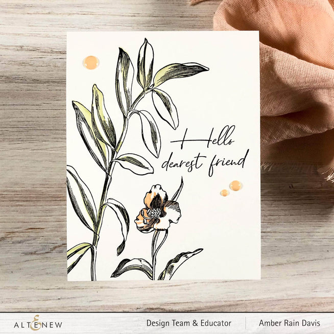 Photocentric Clear Stamps Tall Foliage Stamp Set