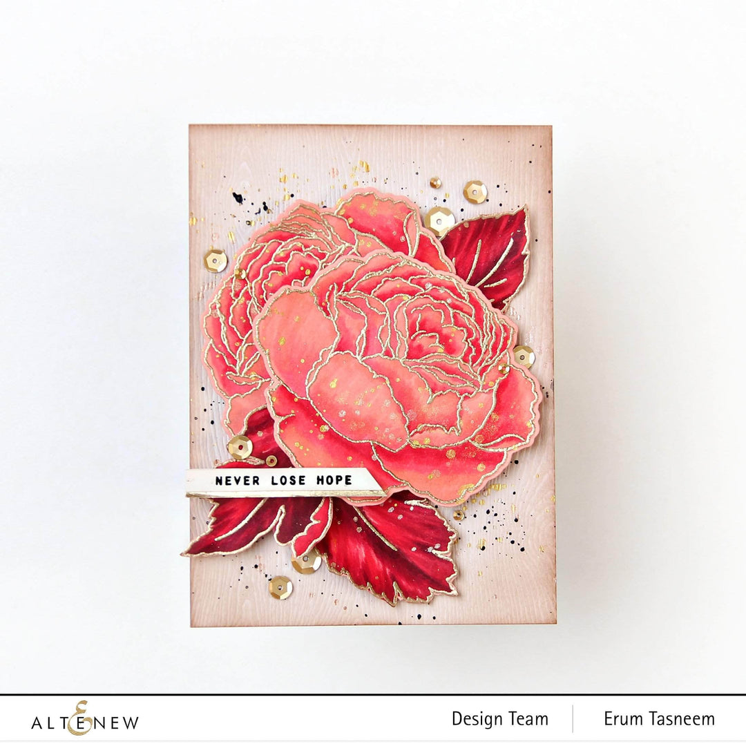 Photocentric Clear Stamps Tranquility Rose Stamp Set