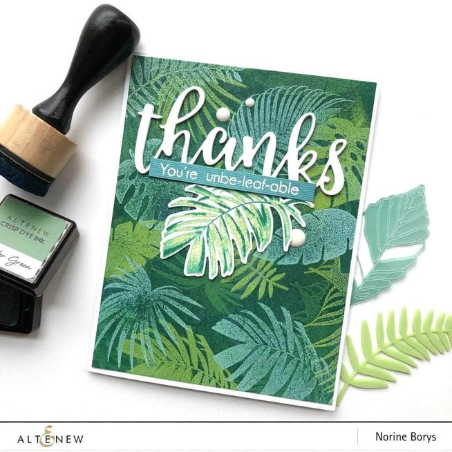 Photocentric Clear Stamps Wild Ferns Stamp Set