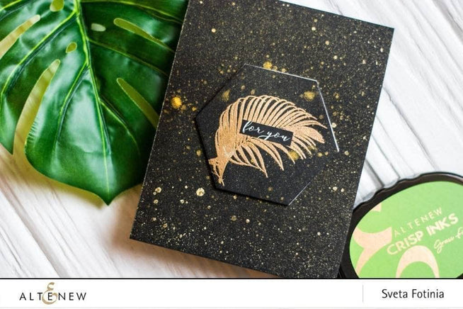 Photocentric Clear Stamps Wild Ferns Stamp Set