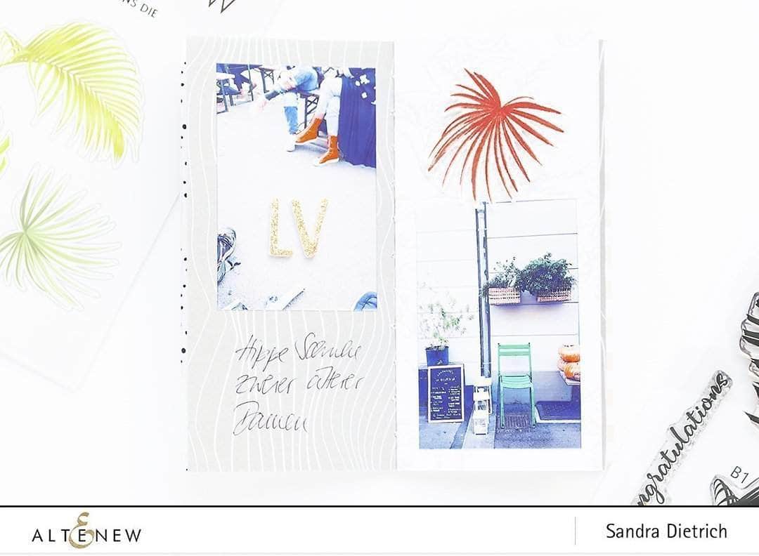 Photocentric Clear Stamps Wild Ferns Stamp Set