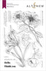 Photocentric Clear Stamps Wild Flora Stamp Set