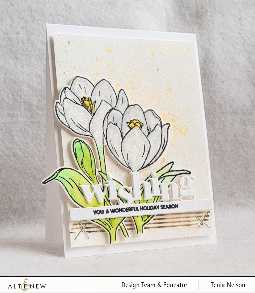 Photocentric Clear Stamps Winter Crocus Stamp Set