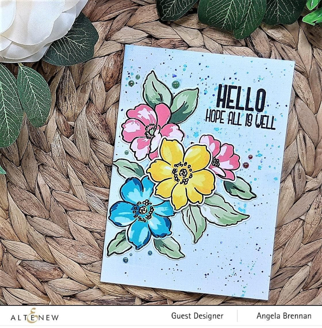 Photocentric Clear Stamps Wispy Joy Stamp Set