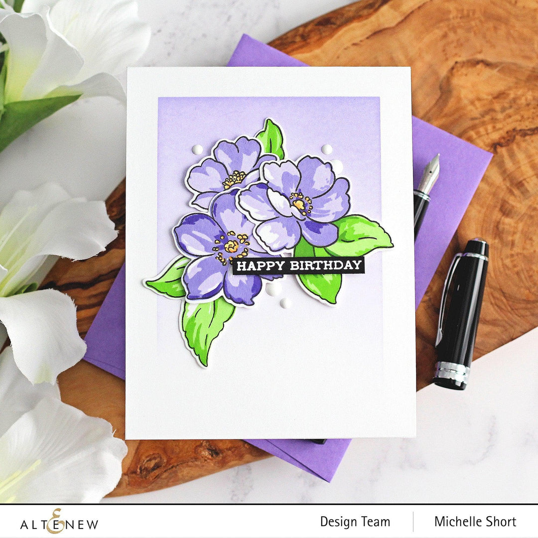 Photocentric Clear Stamps Wispy Joy Stamp Set