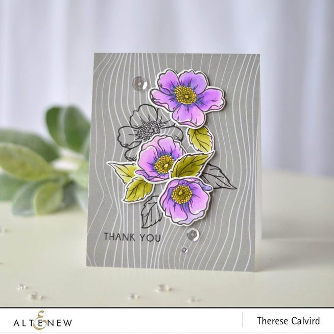 Photocentric Clear Stamps Z - Always There Stamp Set