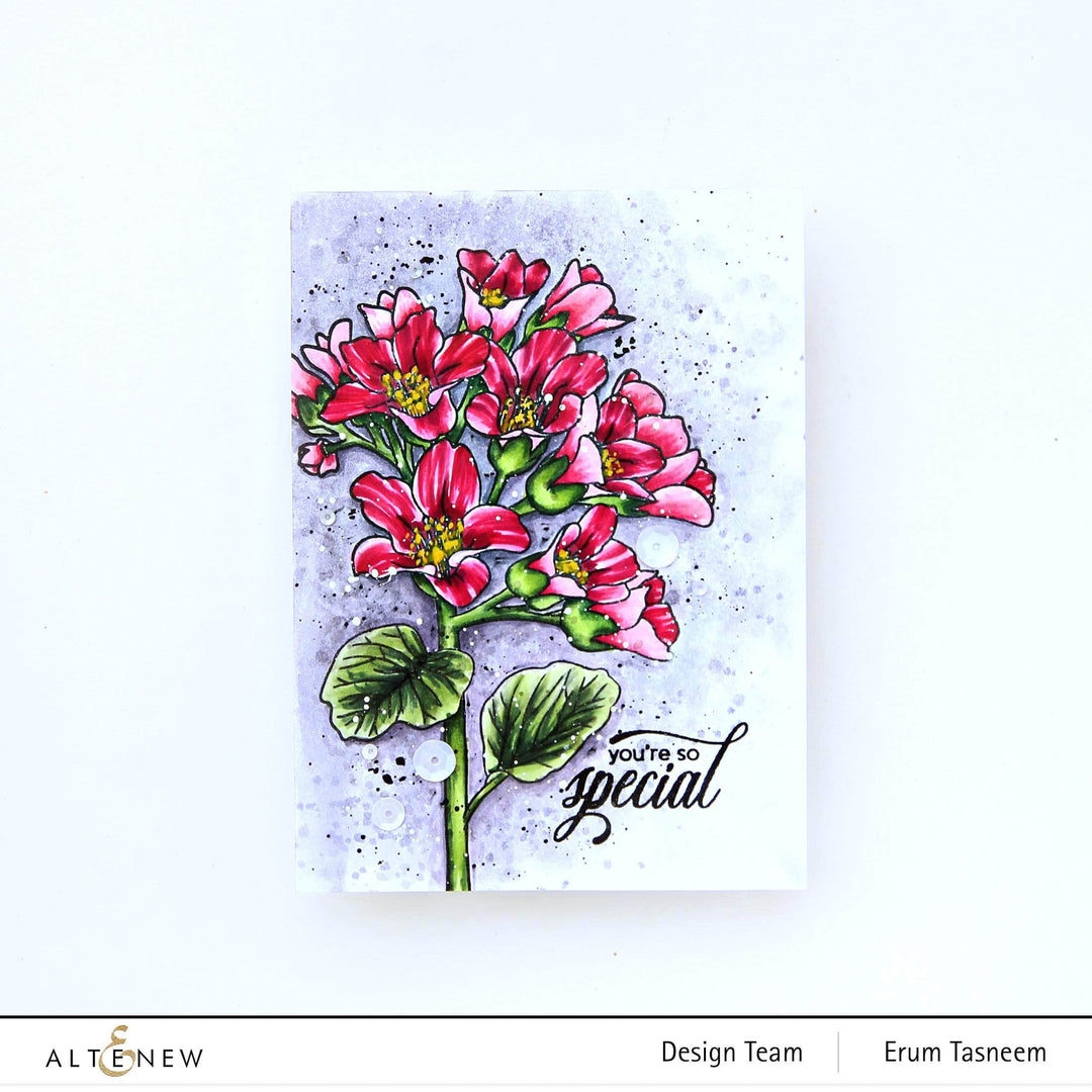 Photocentric Clear Stamps Bergenia Builder Stamp Set