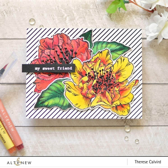 Photocentric Clear Stamps Engagement Wishes Stamp Set