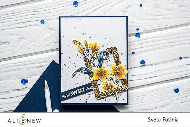Photocentric Clear Stamps Extra Special Stamp Set