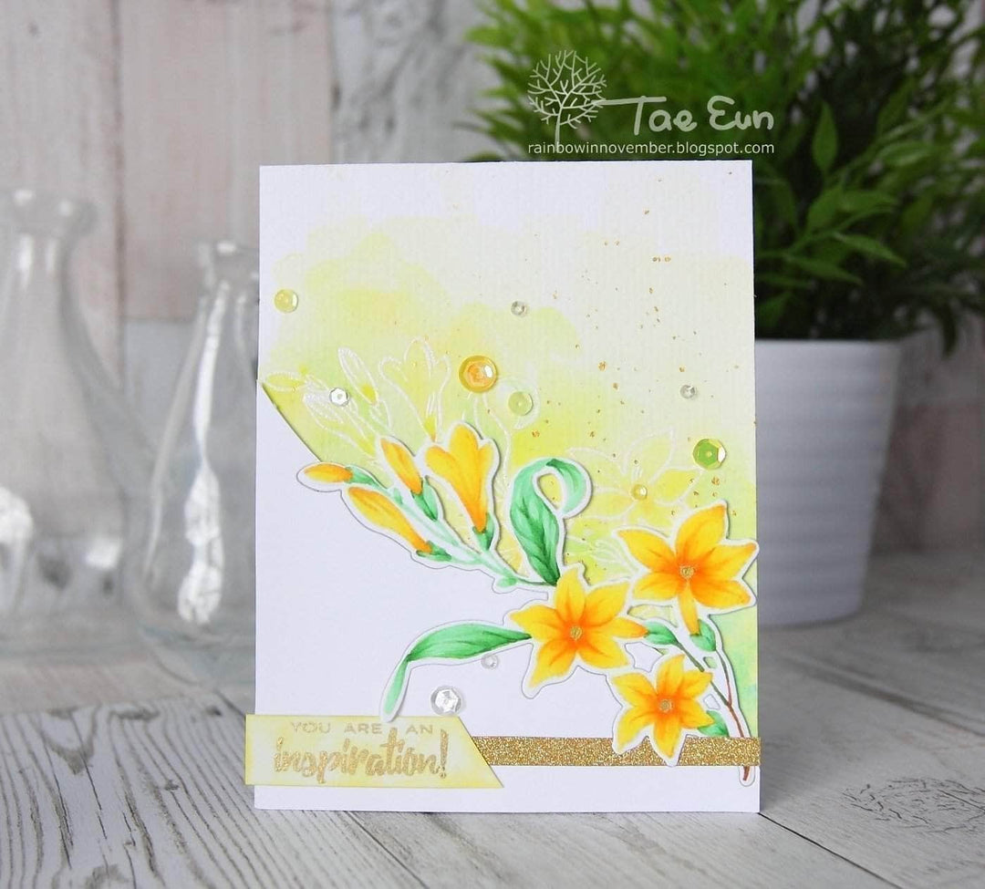 Photocentric Clear Stamps Extra Special Stamp Set