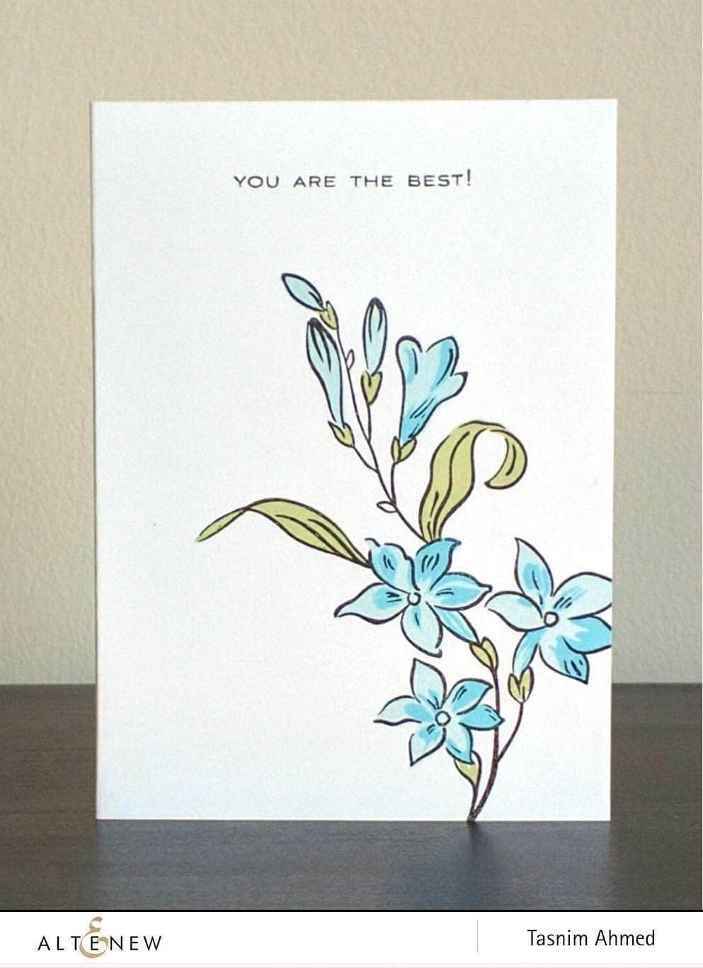 Photocentric Clear Stamps Extra Special Stamp Set