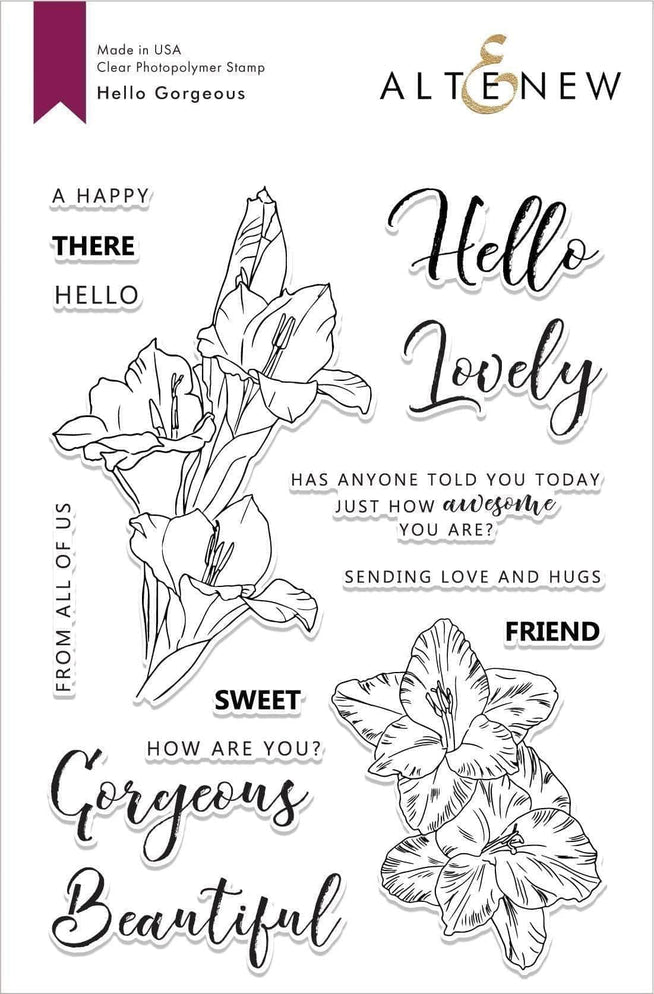 Photocentric Clear Stamps Hello Gorgeous Stamp Set