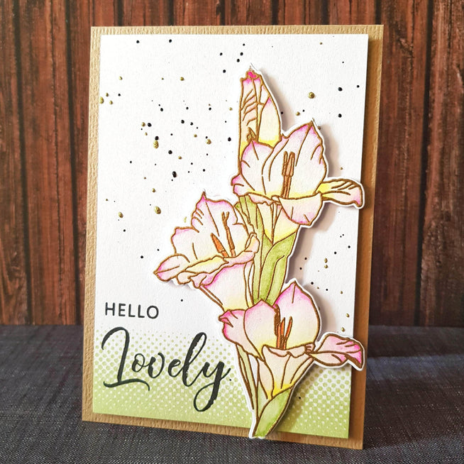 Photocentric Clear Stamps Hello Gorgeous Stamp Set