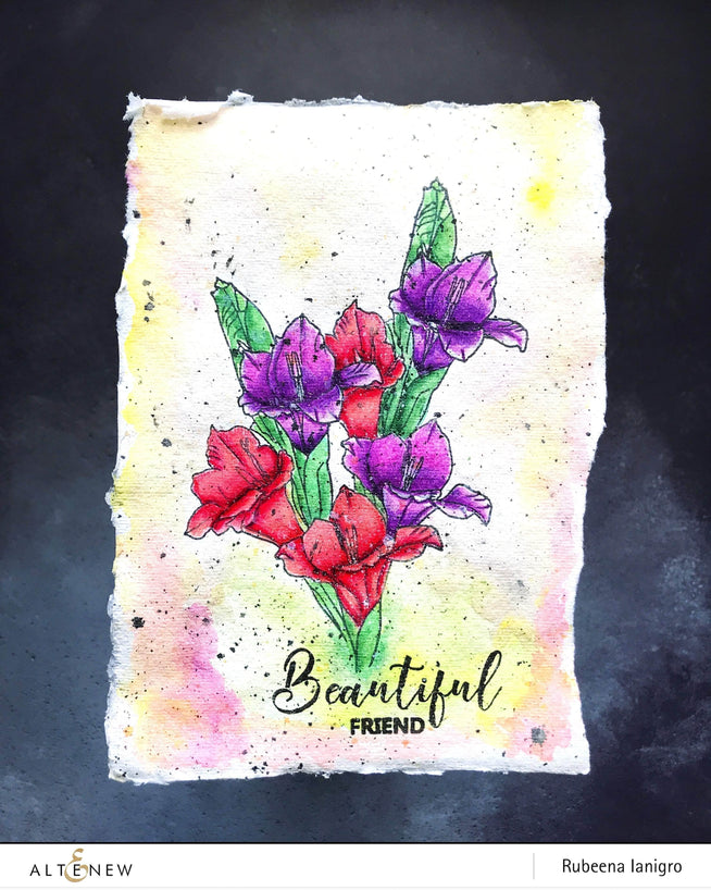 Photocentric Clear Stamps Hello Gorgeous Stamp Set