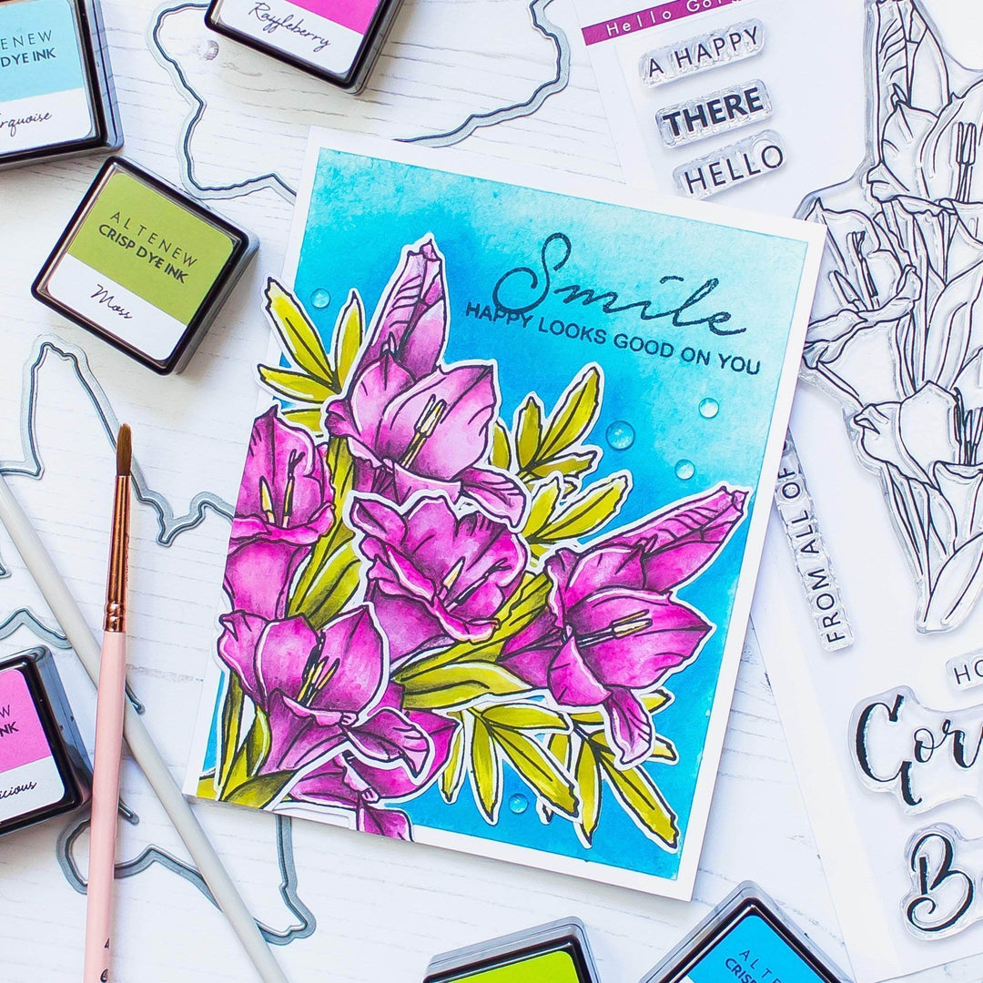 Photocentric Clear Stamps Hello Gorgeous Stamp Set