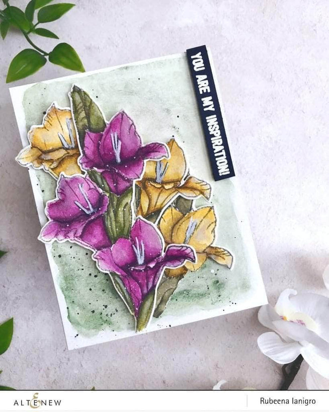 Photocentric Clear Stamps Hello Gorgeous Stamp Set