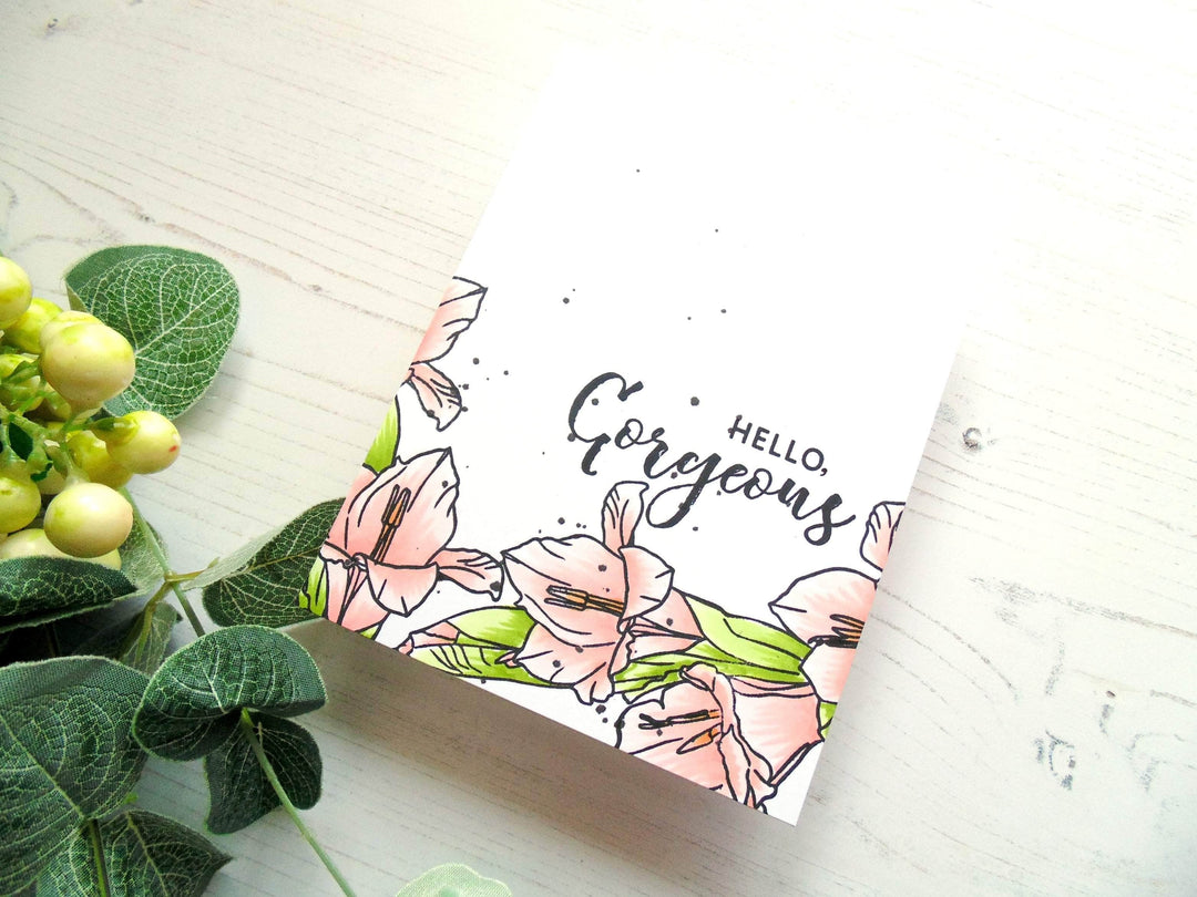 Photocentric Clear Stamps Hello Gorgeous Stamp Set