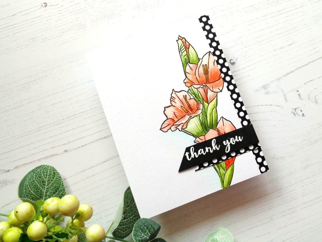 Photocentric Clear Stamps Hello Gorgeous Stamp Set