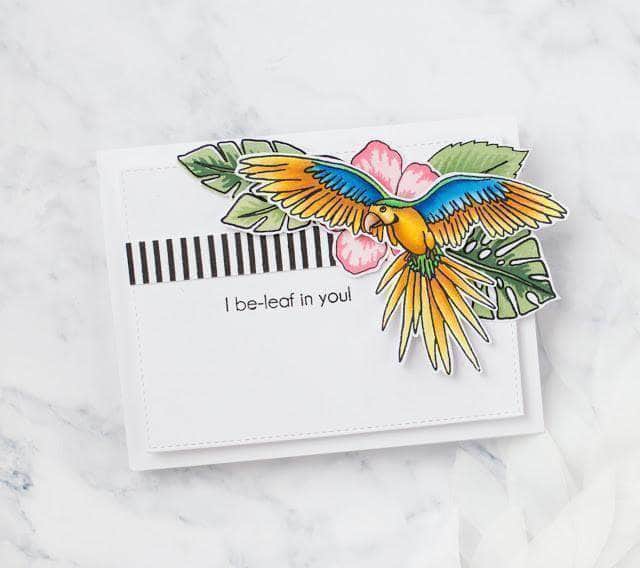 Photocentric Clear Stamps Parrot Paradise Stamp Set