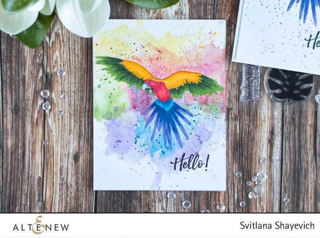 Photocentric Clear Stamps Parrot Paradise Stamp Set