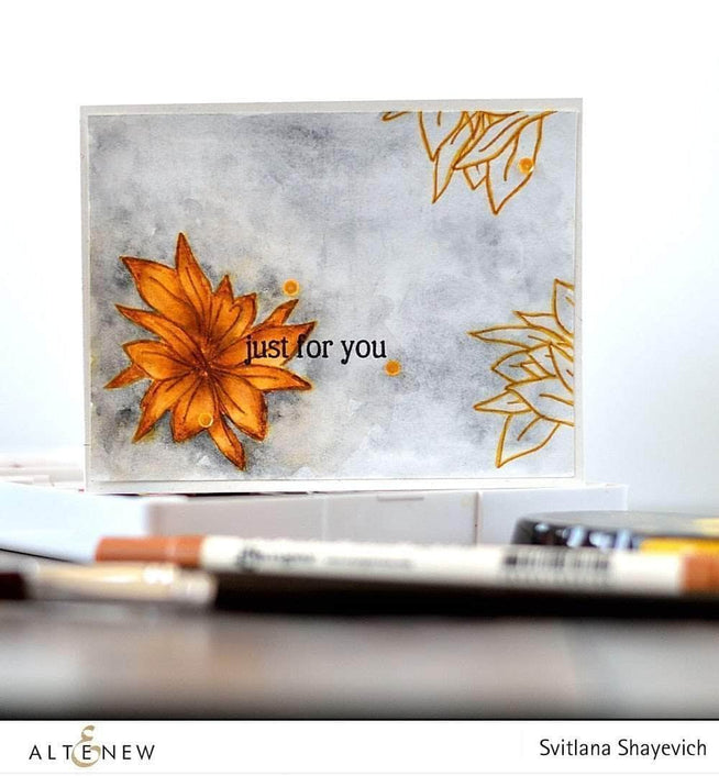 Photocentric Clear Stamps Penned Rose Stamp Set