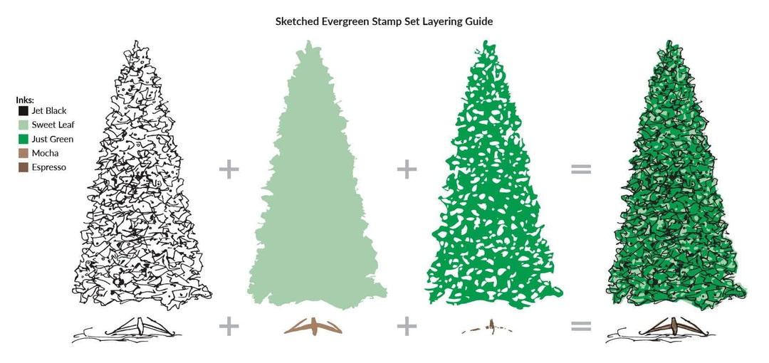 Photocentric Clear Stamps Z - Sketched Evergreen Stamp Set