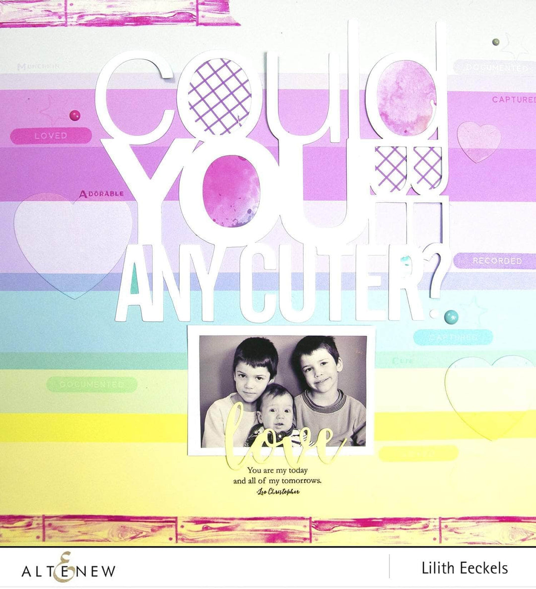 Photocentric Clear Stamps Snapshots Stamp Set