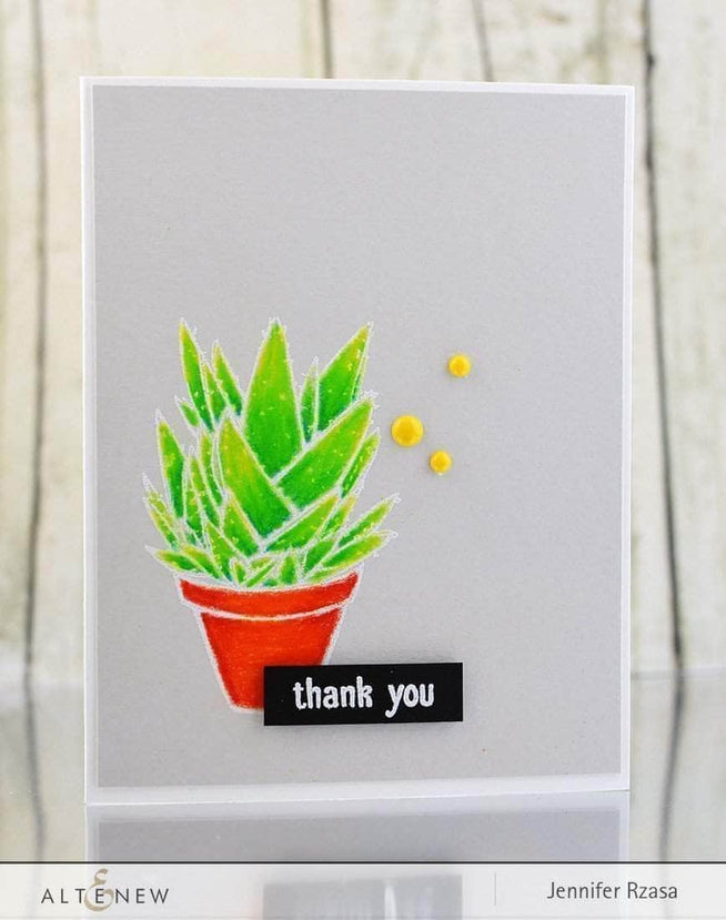 Photocentric Clear Stamps Succulents Stamp Set