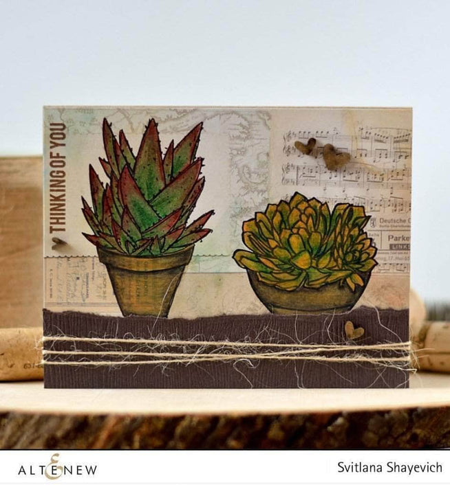 Photocentric Clear Stamps Succulents Stamp Set