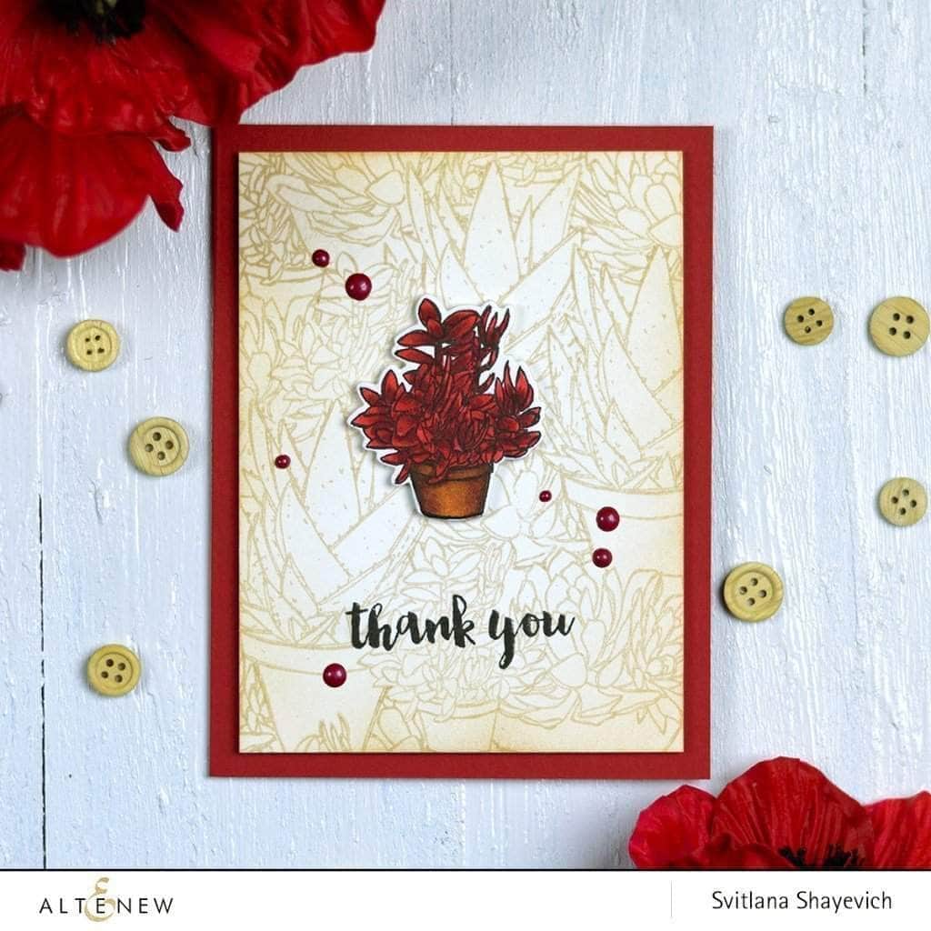 Photocentric Clear Stamps Succulents Stamp Set