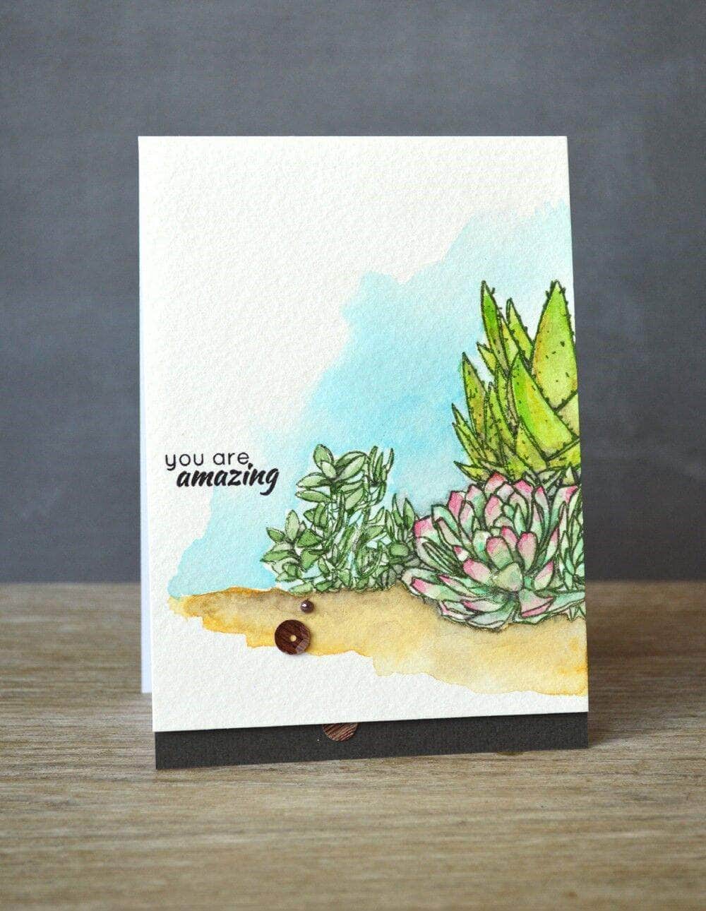 Photocentric Clear Stamps Succulents Stamp Set
