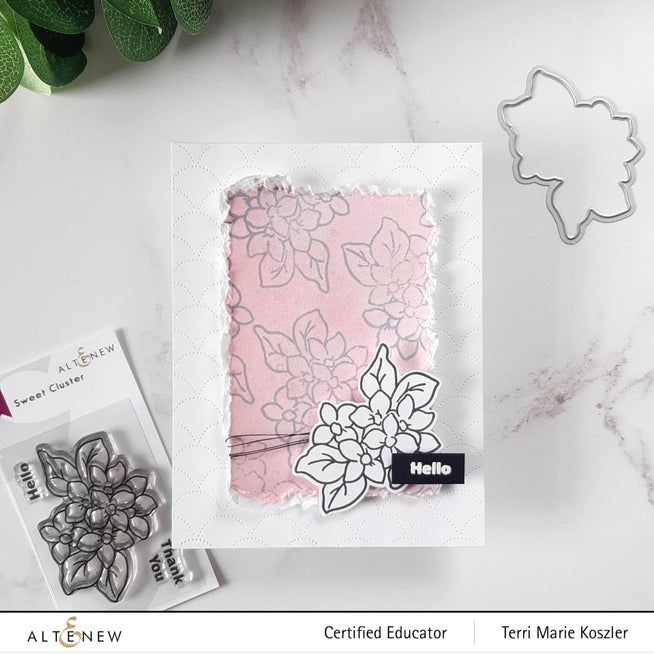 Photocentric Clear Stamps Sweet Cluster Stamp Set