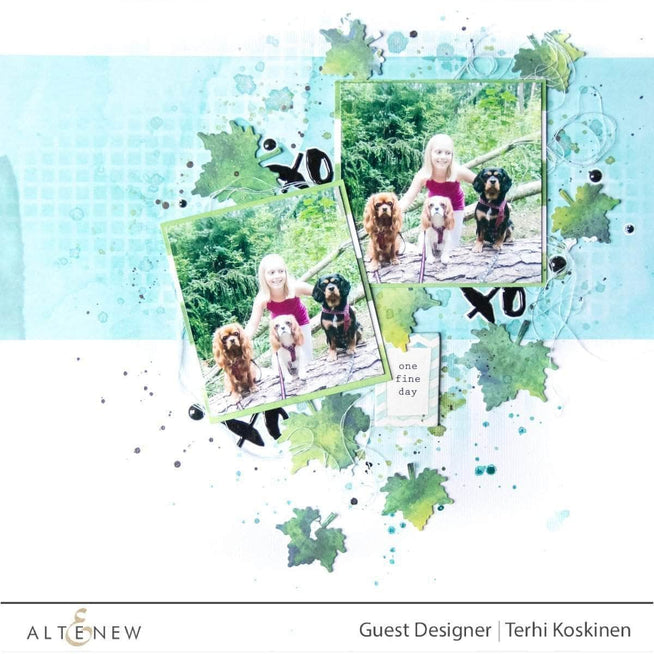 Photocentric Clear Stamps With Gratitude Stamp Set