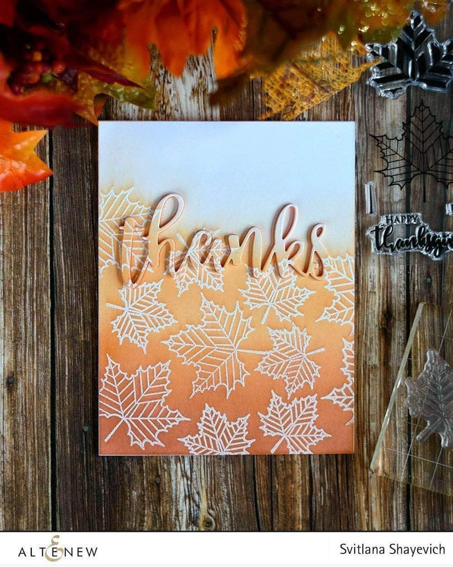 Photocentric Clear Stamps With Gratitude Stamp Set