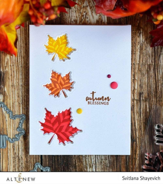 Photocentric Clear Stamps With Gratitude Stamp Set