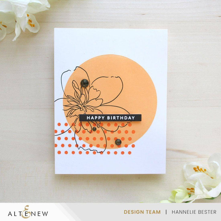 Solid Sentiments Complete Bundle